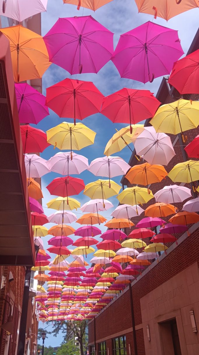 Suspended Pastel umbrellas on top of an alleyway